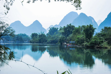 动植物的小知识