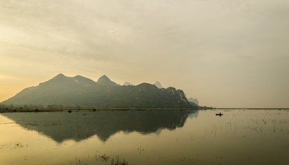 动植物的小知识