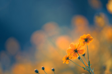 -首位山水诗人谢灵运的人生悲剧：不知收敛而被杀