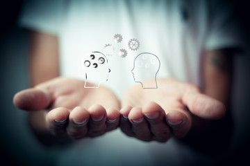 动植物的小知识