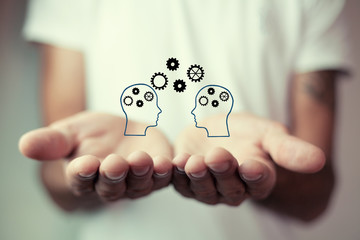 动植物的小知识