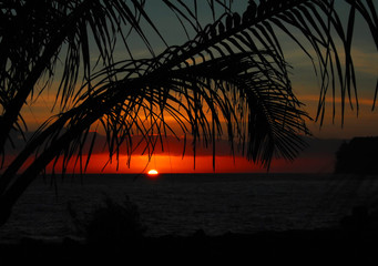 幼儿园固定资产包括哪些