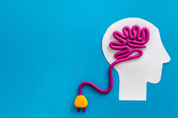 动植物的小知识