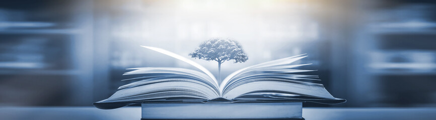 幼儿园固定资产包括哪些