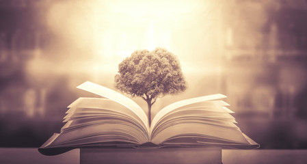 这句话的意思是什么？