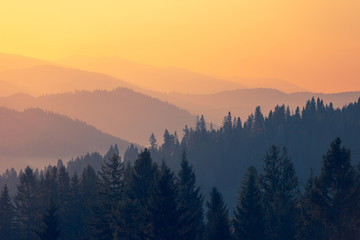 怎样研究消费者的购买心理？