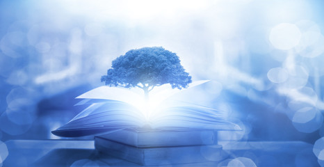 怎样研究消费者的购买心理？