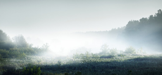 这句话的意思是什么？