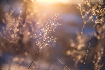 怎样研究消费者的购买心理？