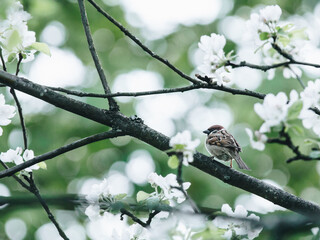 “早点休息”用广东话怎么说