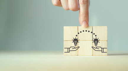 制作叶脉标本的药品 可以用家里的东西代替吗？