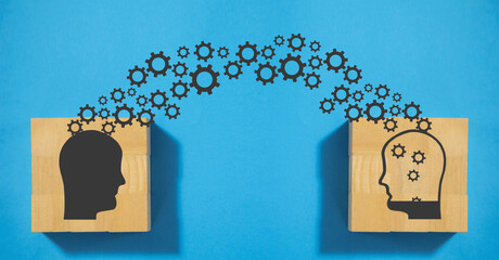 大学课堂如何在书上做好笔记——四色笔记法