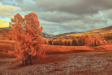 HI元宇宙是哪个公司,元宇宙公司是什么意思