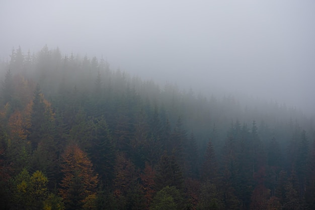 HI元宇宙是哪个公司,元宇宙公司是什么意思