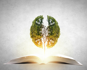 幼儿园固定资产包括哪些