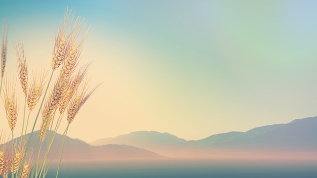 制作叶脉标本的药品 可以用家里的东西代替吗？