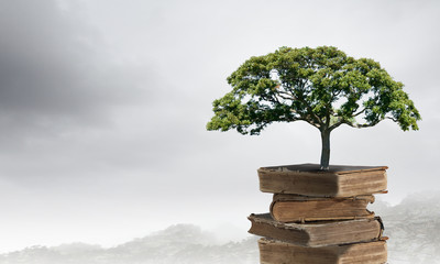 HI元宇宙是哪个公司,元宇宙公司是什么意思