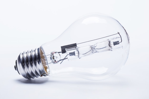 动植物的小知识