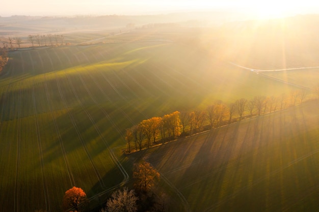 低碳生活有哪些-请举1o个例子