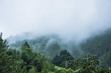 -首位山水诗人谢灵运的人生悲剧：不知收敛而被杀